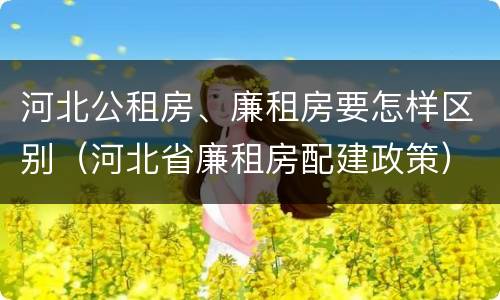河北公租房、廉租房要怎样区别（河北省廉租房配建政策）
