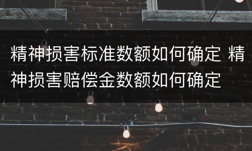 精神损害标准数额如何确定 精神损害赔偿金数额如何确定