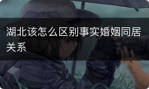 湖北该怎么区别事实婚姻同居关系