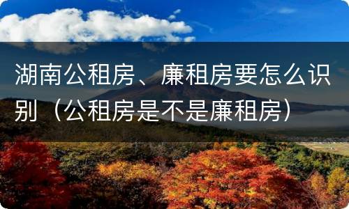 湖南公租房、廉租房要怎么识别（公租房是不是廉租房）