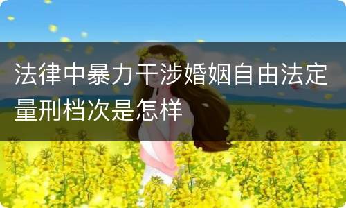 法律中暴力干涉婚姻自由法定量刑档次是怎样