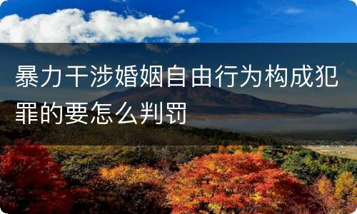 暴力干涉婚姻自由行为构成犯罪的要怎么判罚
