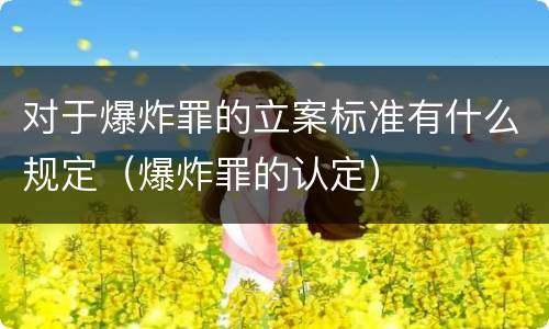 对于爆炸罪的立案标准有什么规定（爆炸罪的认定）