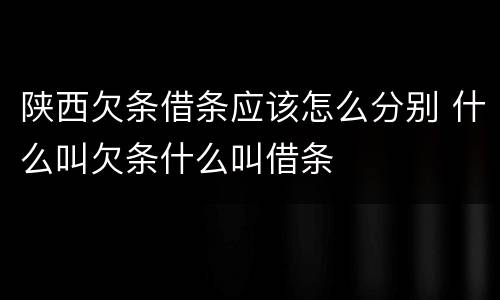 陕西欠条借条应该怎么分别 什么叫欠条什么叫借条