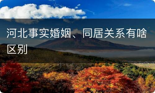 河北事实婚姻、同居关系有啥区别