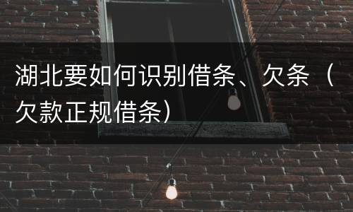 湖北要如何识别借条、欠条（欠款正规借条）