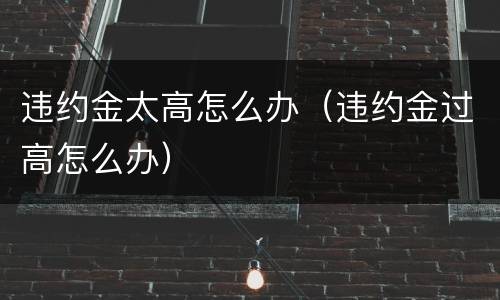 违约金太高怎么办（违约金过高怎么办）