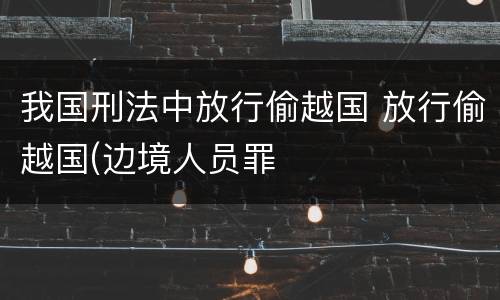 我国刑法中放行偷越国 放行偷越国(边境人员罪