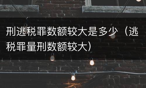 刑逃税罪数额较大是多少（逃税罪量刑数额较大）