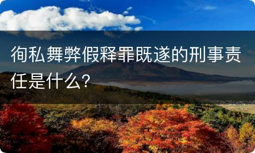 徇私舞弊假释罪既遂的刑事责任是什么？