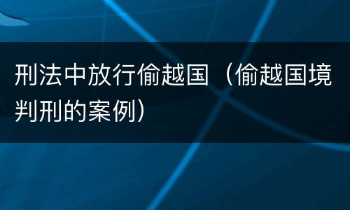 刑法中放行偷越国（偷越国境判刑的案例）