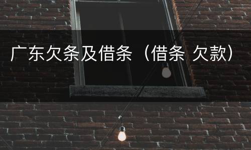 广东欠条及借条（借条 欠款）