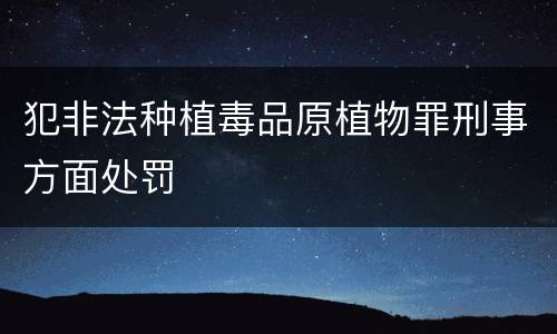 犯非法种植毒品原植物罪刑事方面处罚