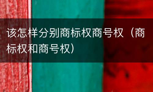 该怎样分别商标权商号权（商标权和商号权）