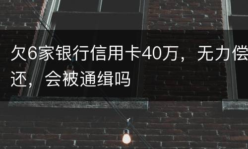 欠6家银行信用卡40万，无力偿还，会被通缉吗