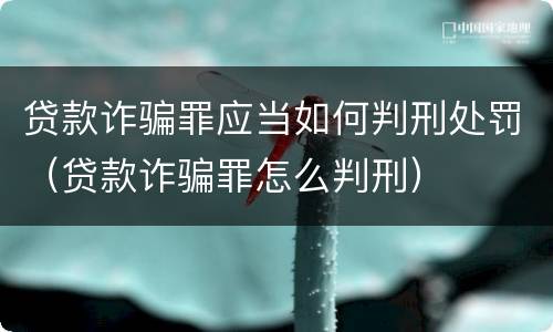 贷款诈骗罪应当如何判刑处罚（贷款诈骗罪怎么判刑）