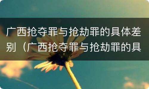 广西抢夺罪与抢劫罪的具体差别（广西抢夺罪与抢劫罪的具体差别是什么）