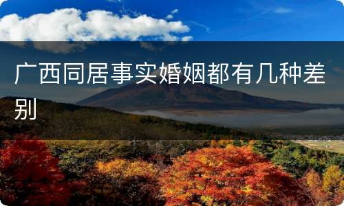 广西同居事实婚姻都有几种差别