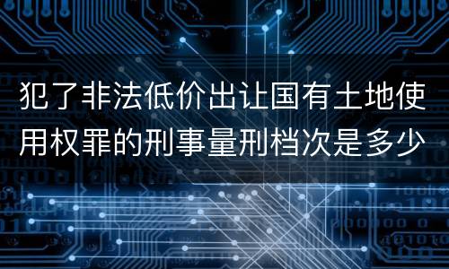 犯了非法低价出让国有土地使用权罪的刑事量刑档次是多少