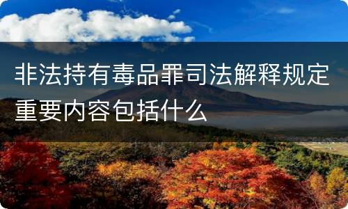 非法持有毒品罪司法解释规定重要内容包括什么