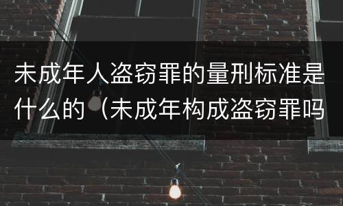 未成年人盗窃罪的量刑标准是什么的（未成年构成盗窃罪吗）