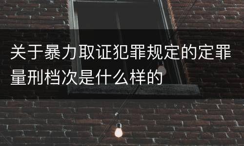 关于暴力取证犯罪规定的定罪量刑档次是什么样的