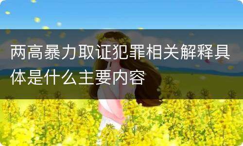 两高暴力取证犯罪相关解释具体是什么主要内容