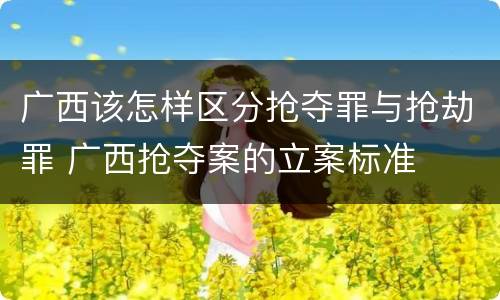广西该怎样区分抢夺罪与抢劫罪 广西抢夺案的立案标准