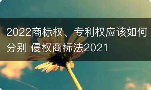 2022商标权、专利权应该如何分别 侵权商标法2021