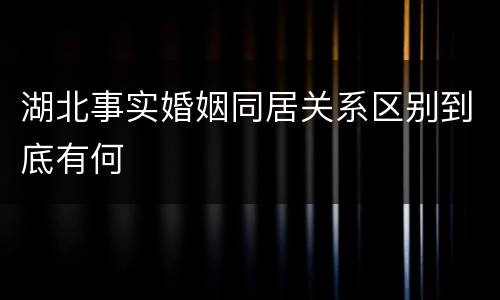 湖北事实婚姻同居关系区别到底有何