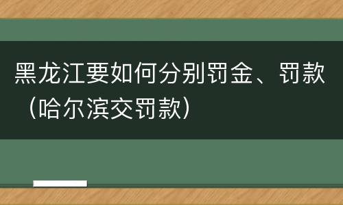 黑龙江要如何分别罚金、罚款（哈尔滨交罚款）