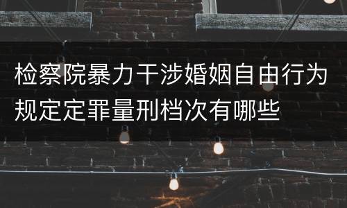 检察院暴力干涉婚姻自由行为规定定罪量刑档次有哪些