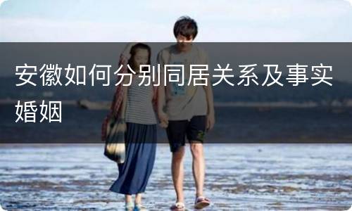安徽如何分别同居关系及事实婚姻