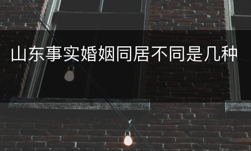 山东事实婚姻同居不同是几种