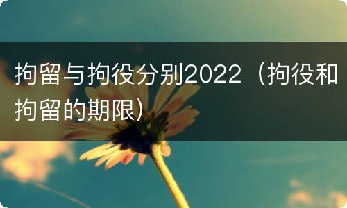 拘留与拘役分别2022（拘役和拘留的期限）
