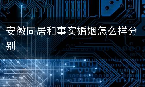 安徽同居和事实婚姻怎么样分别