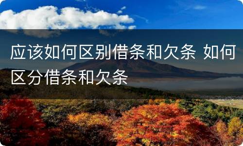 应该如何区别借条和欠条 如何区分借条和欠条