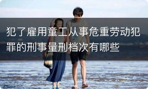 犯了雇用童工从事危重劳动犯罪的刑事量刑档次有哪些