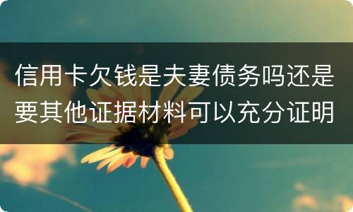 信用卡欠钱是夫妻债务吗还是要其他证据材料可以充分证明