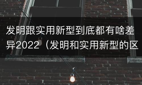 发明跟实用新型到底都有啥差异2022（发明和实用新型的区别举例）