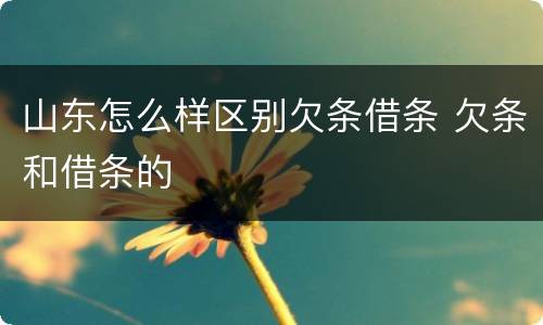 山东怎么样区别欠条借条 欠条和借条的