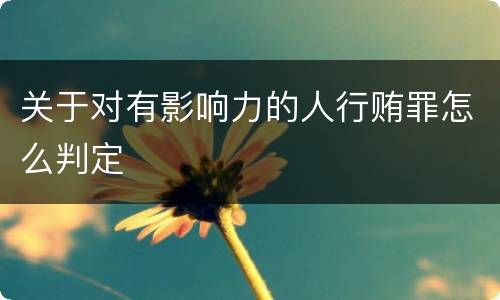关于对有影响力的人行贿罪怎么判定
