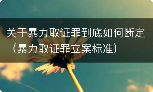 关于暴力取证罪到底如何断定（暴力取证罪立案标准）