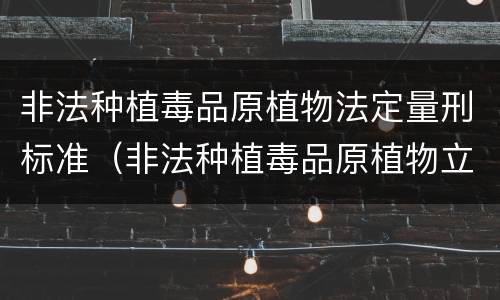 非法种植毒品原植物法定量刑标准（非法种植毒品原植物立案标准）