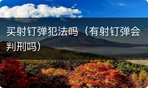 买射钉弹犯法吗（有射钉弹会判刑吗）