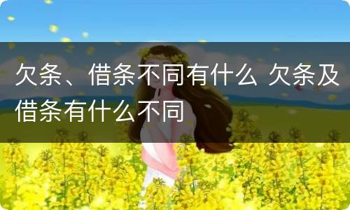欠条、借条不同有什么 欠条及借条有什么不同