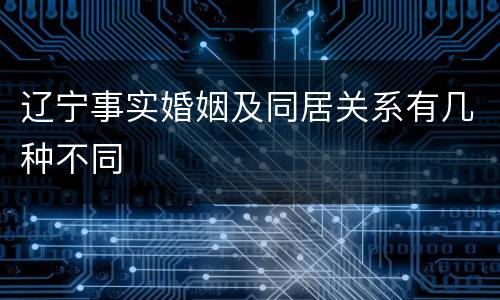 辽宁事实婚姻及同居关系有几种不同