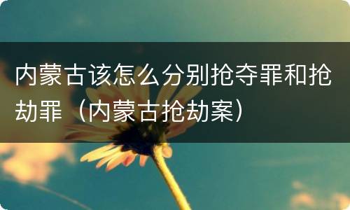 内蒙古该怎么分别抢夺罪和抢劫罪（内蒙古抢劫案）