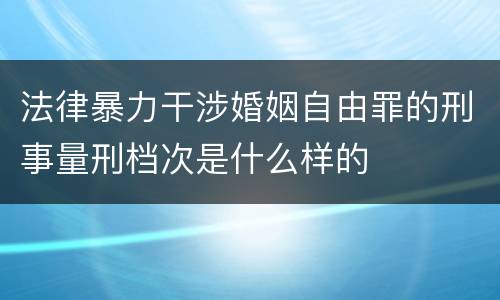 法律暴力干涉婚姻自由罪的刑事量刑档次是什么样的