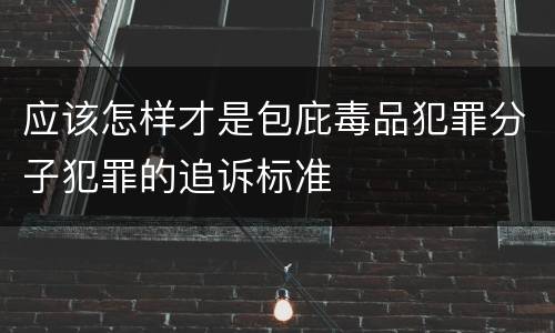 应该怎样才是包庇毒品犯罪分子犯罪的追诉标准